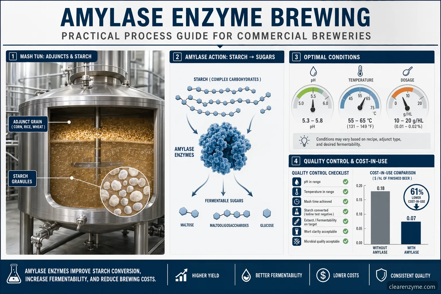 Infografica pratica su amylase enzyme brewing con conversione del mash, pH, temperatura, dosaggio e controlli QC