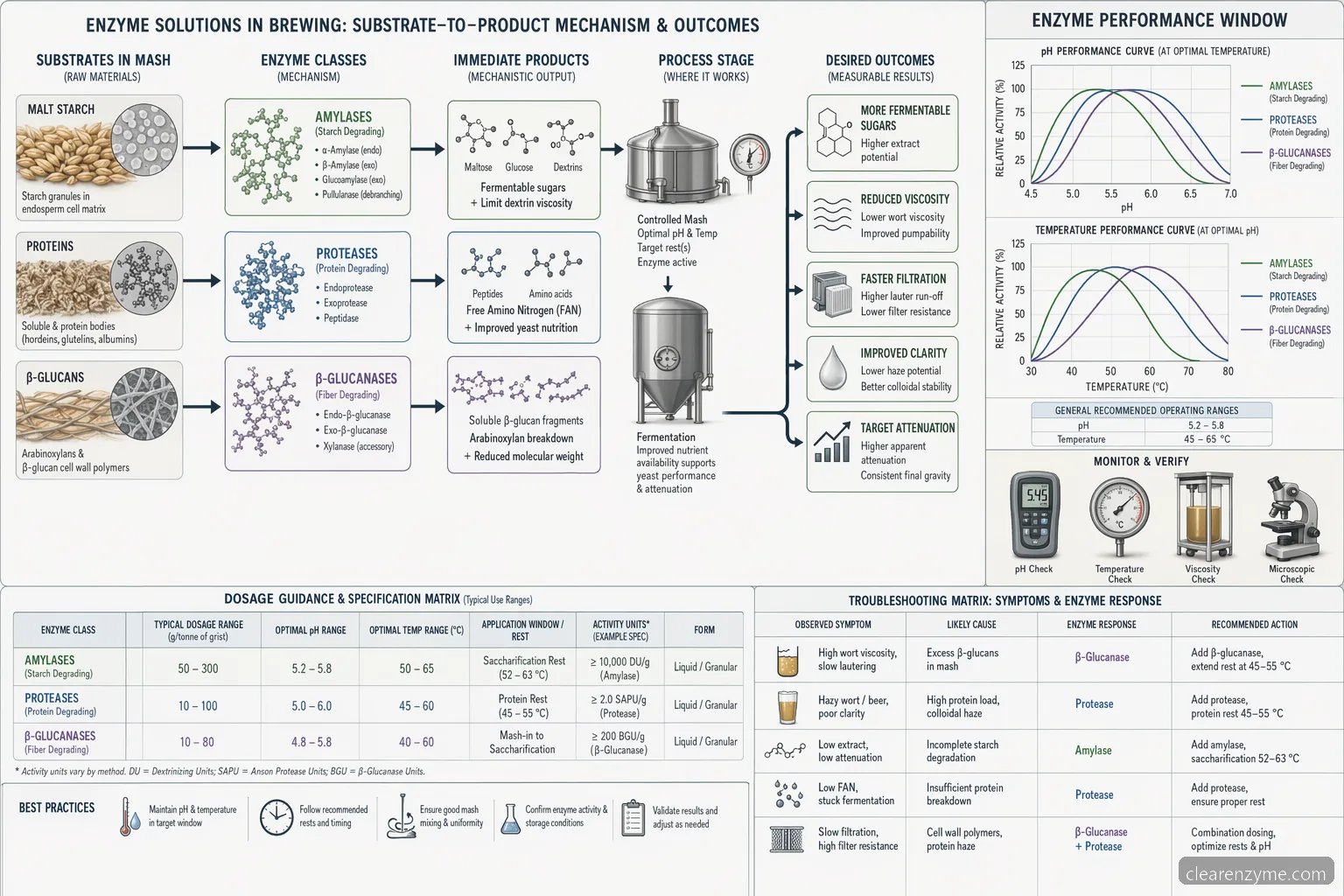 brewing enzymes market trends procesdiagram, der viser stivelses-, protein- og beta-glucan-enzymer koblet til pH, temperatur og bryggerresultater