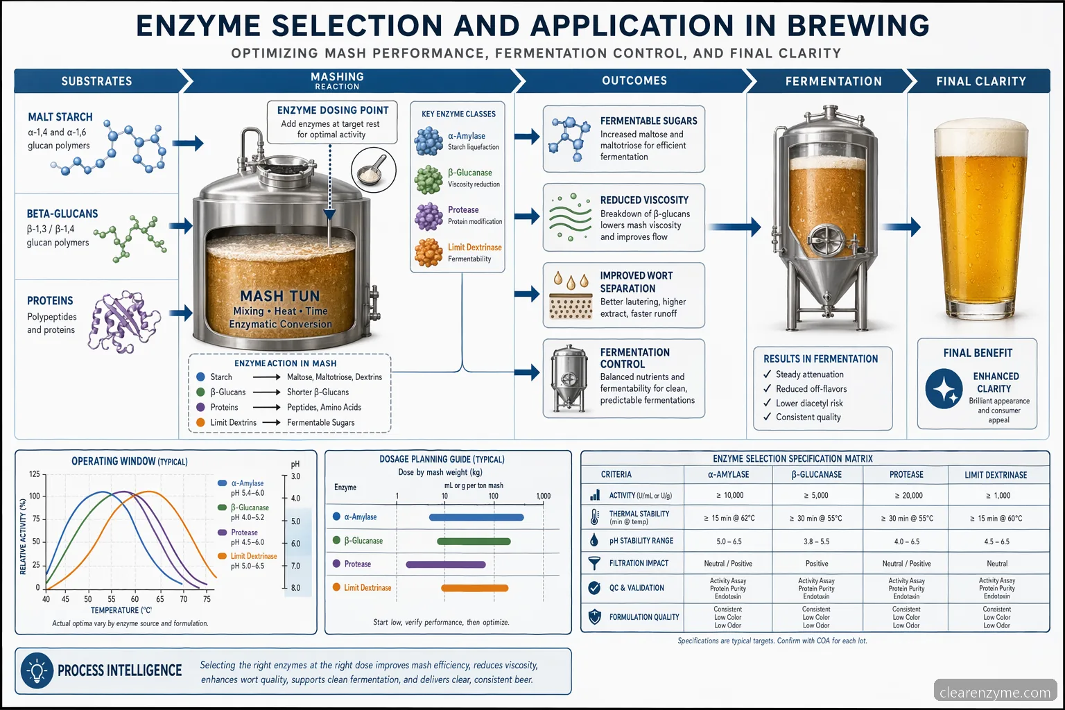us brewing enzymes market processguide som visar enzymdosering, pH-temperaturkontroller, vörtsfiltrering och QC-kontroller